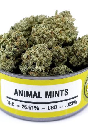 Animal mints strain Online UK