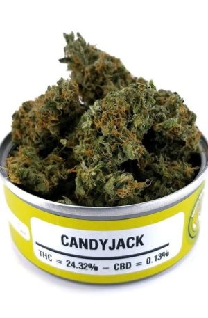 Candy Jack Weed Strain UK