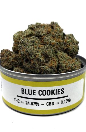 Blue Cookies Marijuana Strain UK