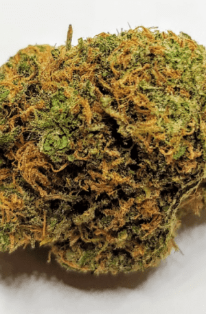 Buy Tangilope Marijuana Strain UK