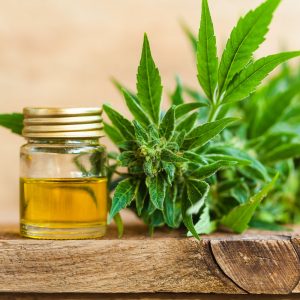 THC cannabis Oil online UK