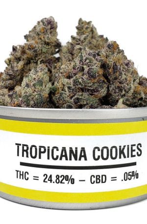 Tropicana Cookies Strain UK