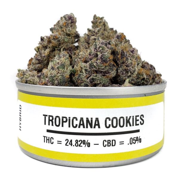 Tropicana Cookies Strain UK