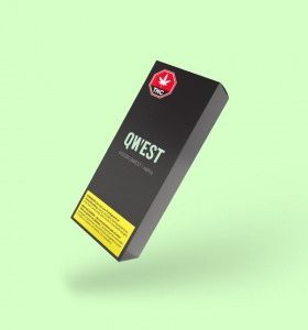 Vision Qwest Pre roll Joint