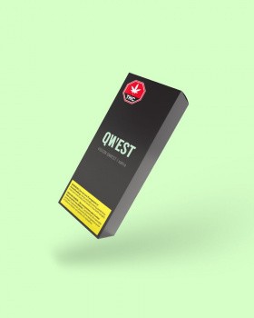 Vision Qwest Pre roll Joint