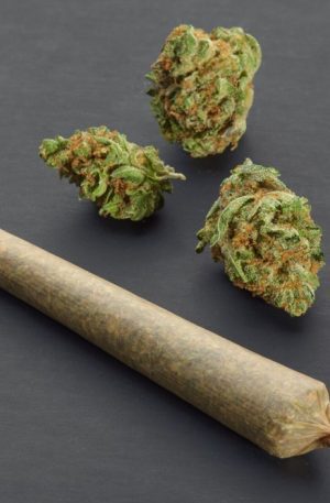 Marijuana Pre Rolled Joints UK
