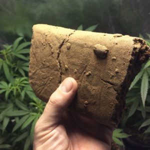 Marijuana Hash UK